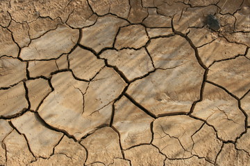 Tierra agrietada
