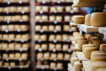 Cow milk cheese, stored in a wooden shelves
