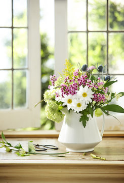 Bouquet of Fresh Cut Flowers containing Daisy, Flox, Sea Holly, Hydrangea, and Ragweed in White Pitcher Vase on Window Sill