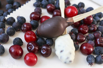 White and brown chocolate candies and berries