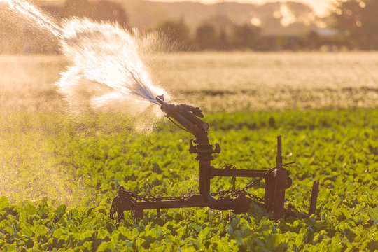 Irrigation sprinkler on farmland during severe drought