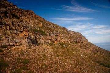 Fototapeta na wymiar Tafelberg Kapstadt South Africa