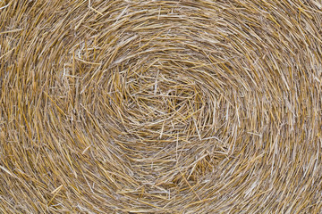 A close-up of a straw bale