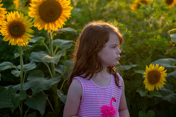 Beauty joyful young girl with sunflower enjoying nature and laughing on summer sunflower field. Sunflare, sunbeams, glow sun. Backlit.