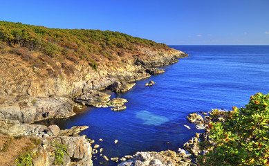 Fototapeta premium Beautiful landscape on rocky shore