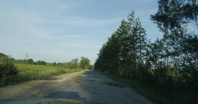 Ukraine, road in the woods, hyperlapse, timelapse