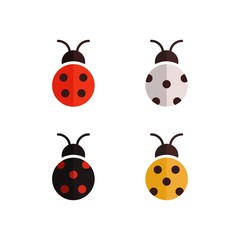 Flat vector set of ladybug. Colored beetle design template