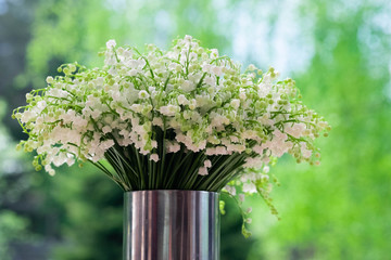 Ландыши садовые