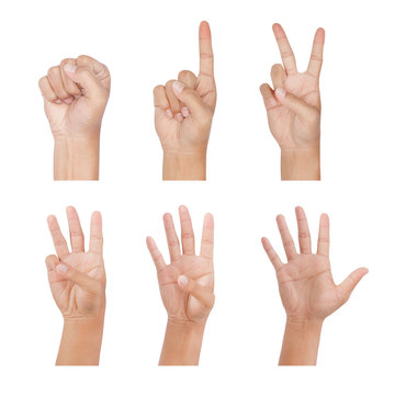 counting hand (0 to 5) isolated on white background - clipping paths