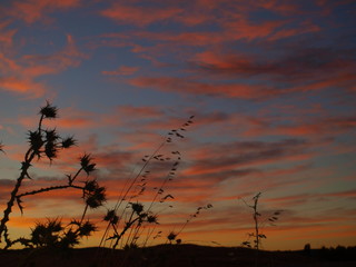 atardecer de verano 