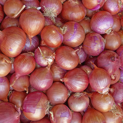 organic onions top view, natural background