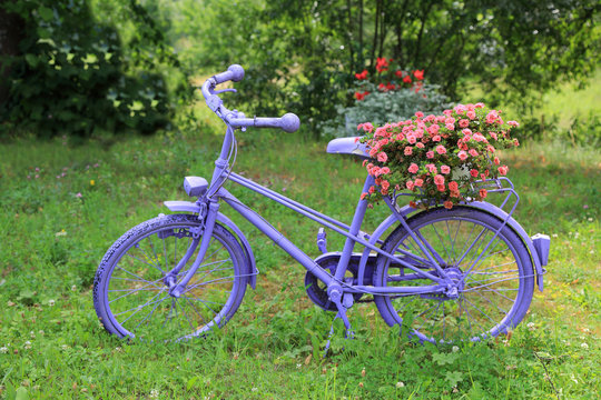 Rower fioletowy z kwietnikiem, różowe kwiaty.