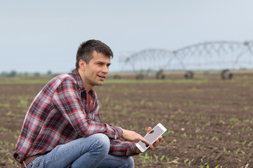 Farmer with tablet in corn field in spring