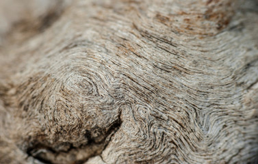 texture2