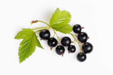 Black currant with leaves isolated. Sprig of berries close-up
