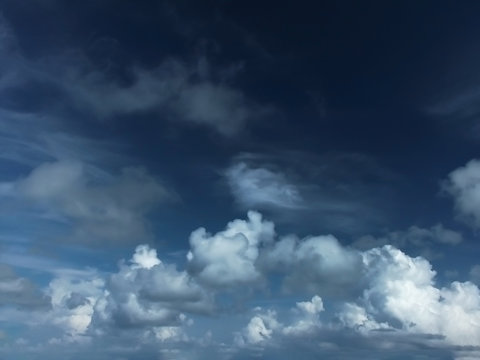 Cumulus Clouds