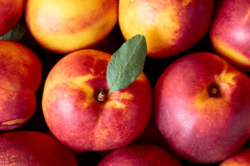 Ripe juicy nectarines with leaves.