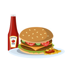 Hamburger with ketchup