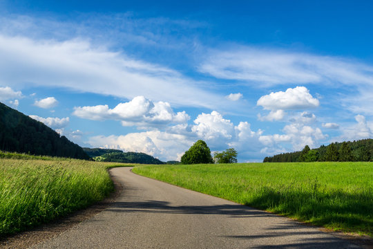 Germany, Curved Road Through Black Forest Vale