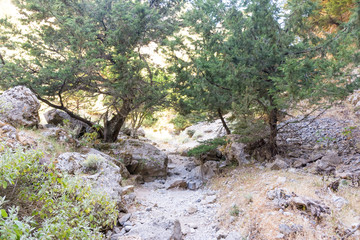 Imbros gorge in Crete