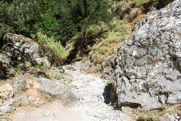 trail through a mountain gorge