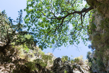 view of the sky between the rocks in the Imbros gorge