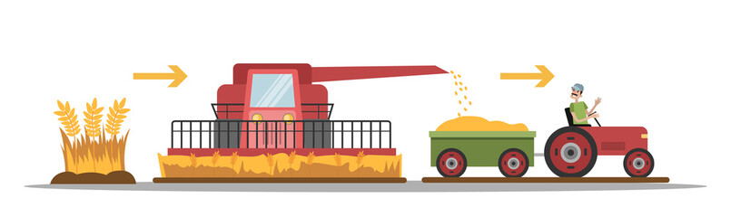 Wheat manufacture process © inspiring.team