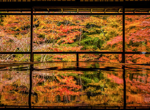 Kyoto Autumn