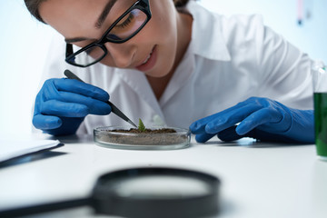 laboratory assistant in glasses conducting experiments chemistry science
