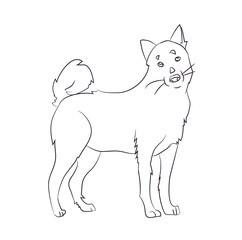 dog stands, lines, vector