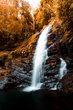 Moody Jungle Waterfall
