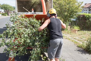 Loading an industrial wood chipper