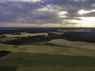 Fototapeta premium Aerial view beautiful forest near fields