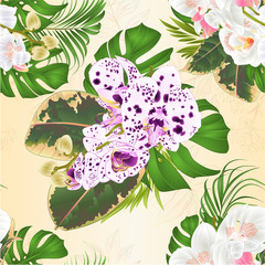 Seamless texture bouquet with tropical flowers  floral arrangement, with beautiful white orchids, palm,philodendron and ficus vintage vector illustration  editable hand draw