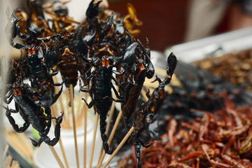 Grill and fried scorpions on stick