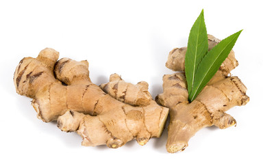 Fresh ginger on white background, herb medical concept
