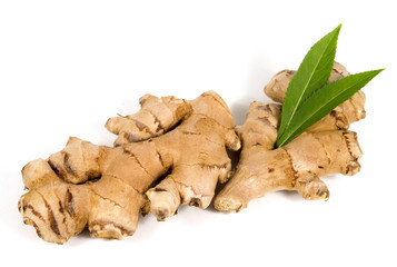 Fresh ginger on white background, herb medical concept