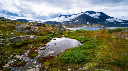 Glacier at a lake in Norway