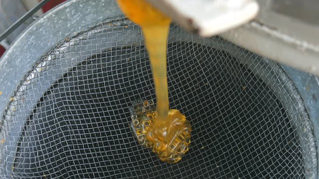 Honey from the honey extractor is filtered through the feed to concrete