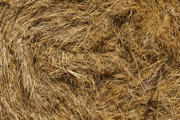 Heuballen im Detail