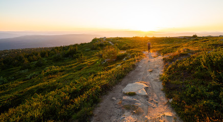 Man hiking at sundown on the Hafjelltoppen in Norway