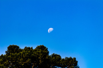 Moon in Afternoon