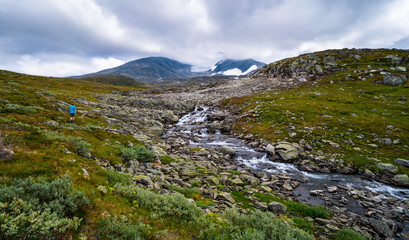 One of the glaciers along the Tindevegen in Norway, famous touristic road, beautiful scenery