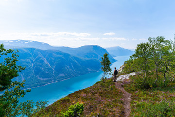 Man watching over the fjord in Norway, near Seimsdalen. Name of the fjord is Lurefjorden