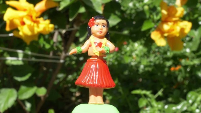 Professional video of traditional hula dancer souvenir toy in 4K slow motion 60fps