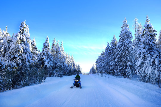 Snowmobiling on Snowy Mountain Road with Snow Covered Pine Trees