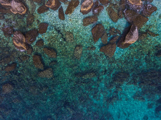 Top view of large boulders in clear water near the shore.