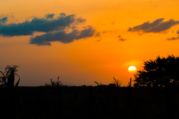 Sunset in Tanzania