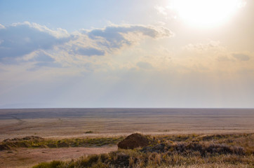 African safari landscape 