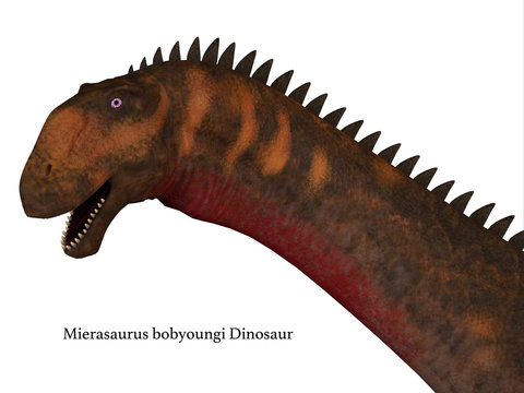 Mierasaurus Dinosaur Head with Font - Mierasaurus was a herbivorous sauropod dinosaur that lived in Utah, USA during the Cretaceous Period.